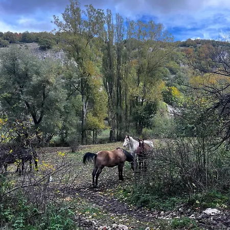 Apartament Piccola Marmotta *