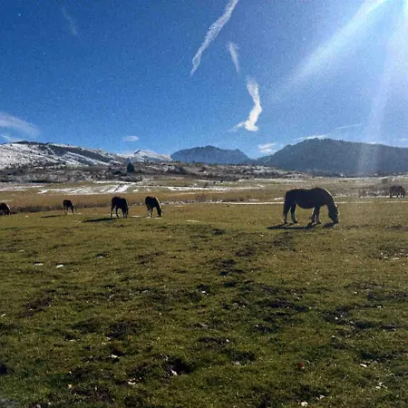 Piccola Marmotta Apartament