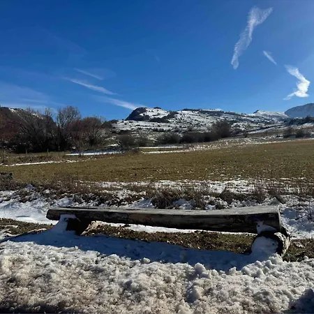 Piccola Marmotta Apartament *