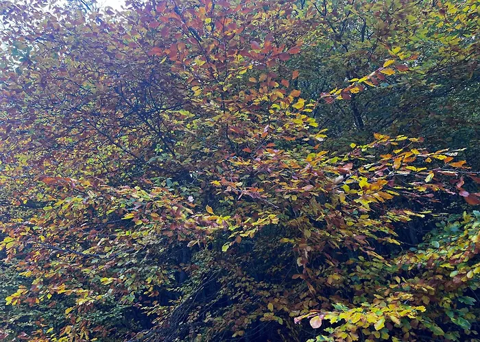 Διαμέρισμα Piccola Marmotta *