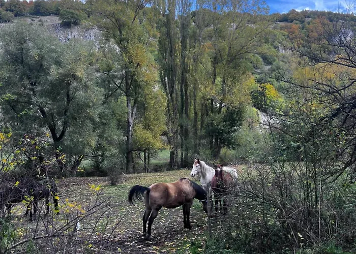 Appartement Piccola Marmotta *