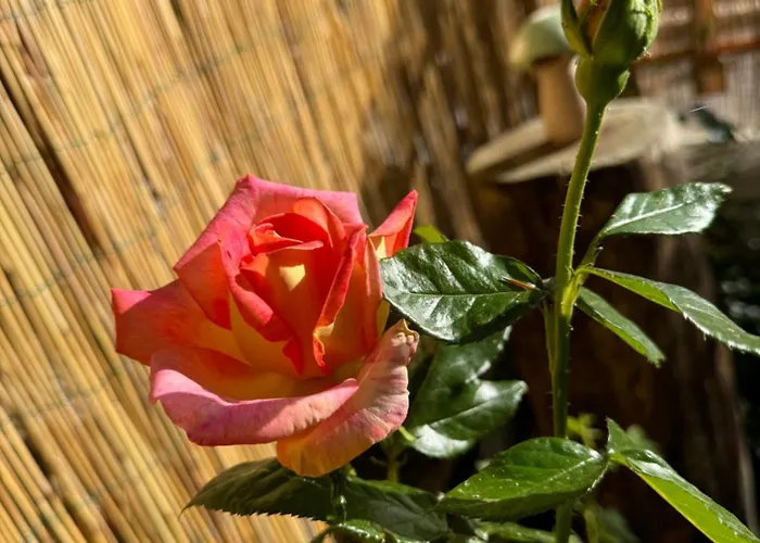 Piccola Marmotta Appartement Ovindoli