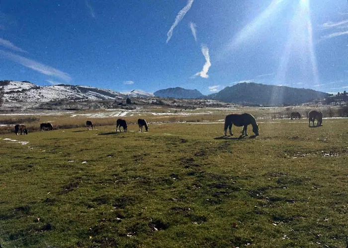Piccola Marmotta Διαμέρισμα